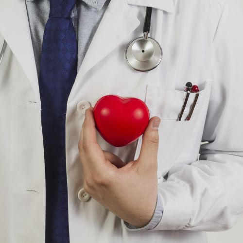doctor-showing-plastic-heart
